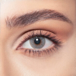 Daily_Bluish_Gray_OnBrown