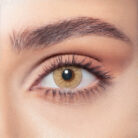 hazel-beige-OnBrown