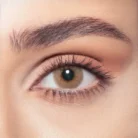 sandy-brown-OnBrown (1)
